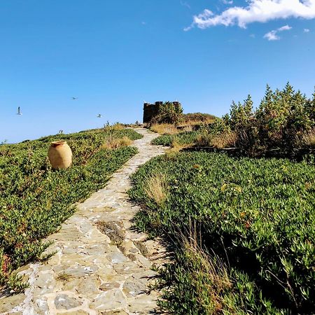 Isla Privada En Cadaques De Ensueno Con 11 Habitaciones Dobles Con Bano Privado Y Piscina Cadaqués Exterior foto