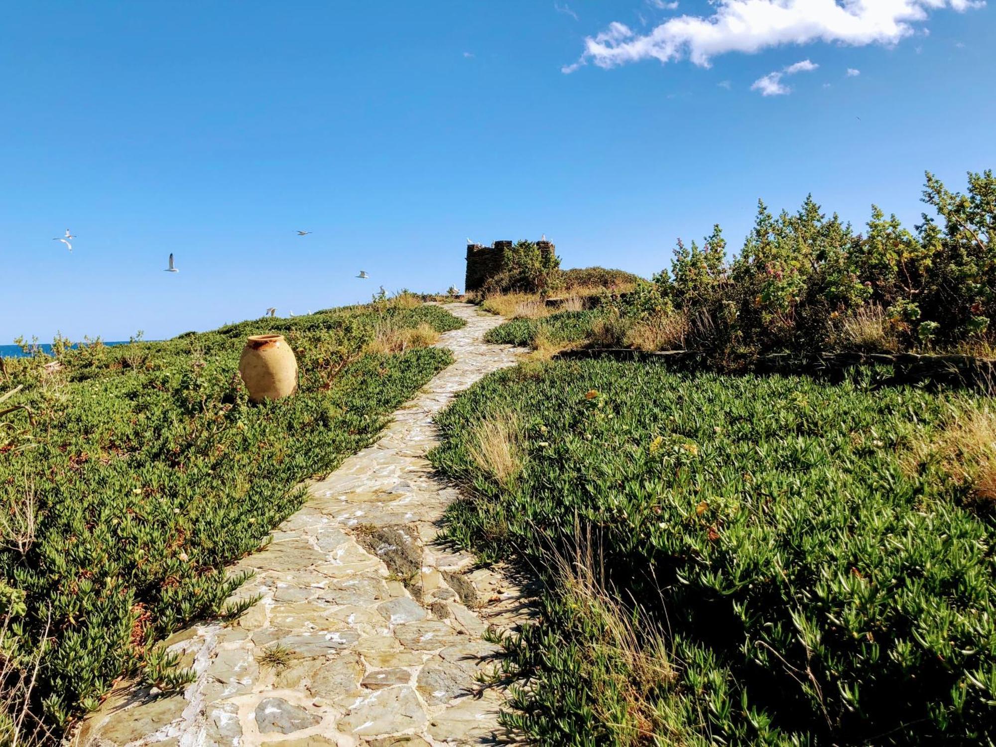 Isla Privada En Cadaques De Ensueno Con 11 Habitaciones Dobles Con Bano Privado Y Piscina Cadaqués Exterior foto